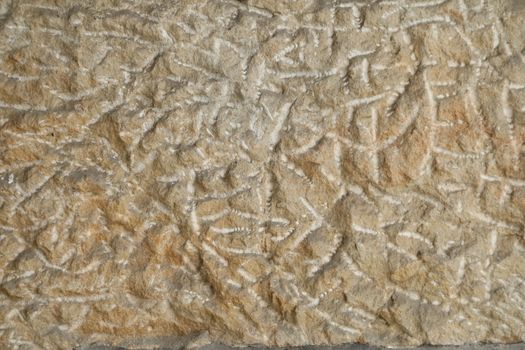 Raw stone Texture