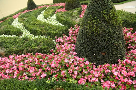 Closeup shot of Flowers