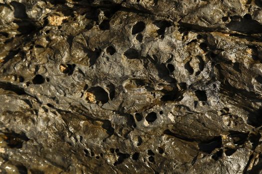 Raw stone Texture