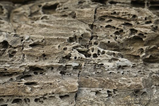 Raw stone Texture