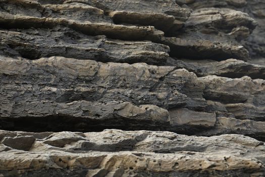 Raw stone Texture