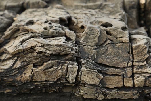 Raw stone Texture