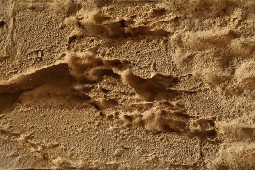 Raw stone Texture