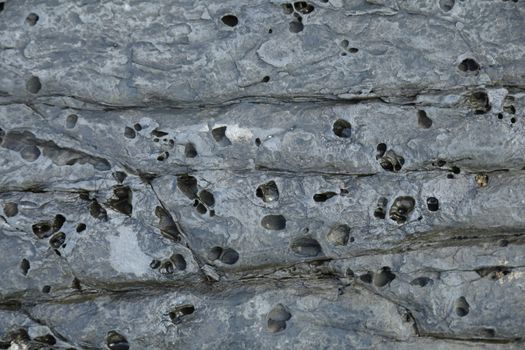 Raw stone Texture