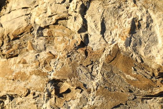 Raw stone Texture
