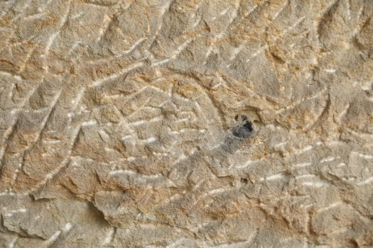 Raw stone Texture