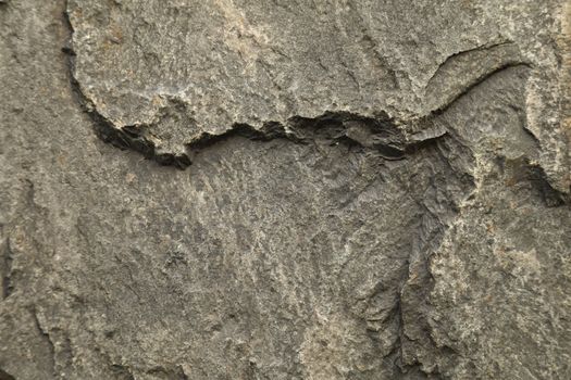 Raw stone Texture