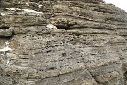 Raw stone Texture