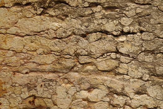 Raw stone Texture