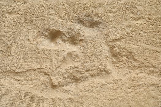 Raw stone Texture