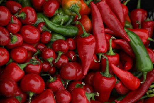 Vegetables close up
