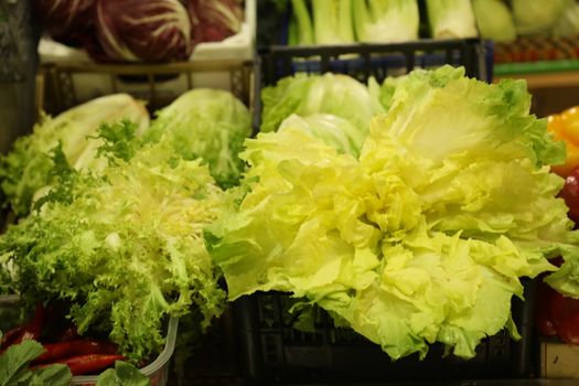 Vegetables close up