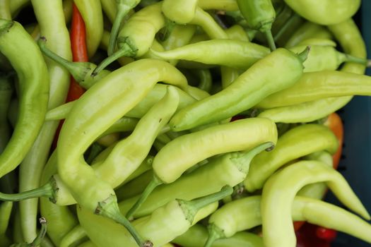 Vegetables close up