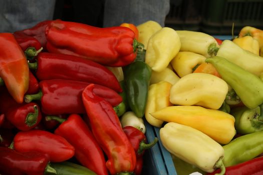 Vegetables close up