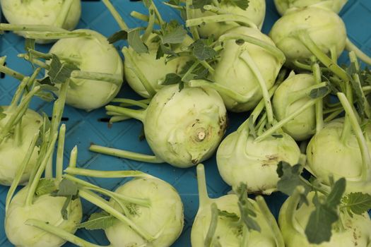 Vegetables close up