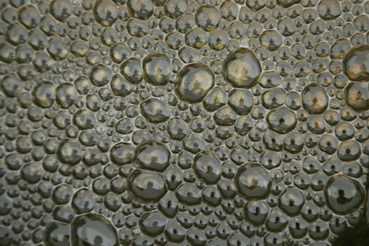 Air bubbles in Blue water
