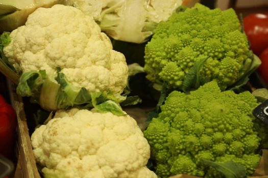 Vegetables close up