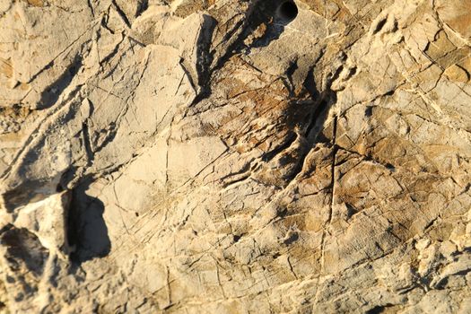 Raw stone Texture