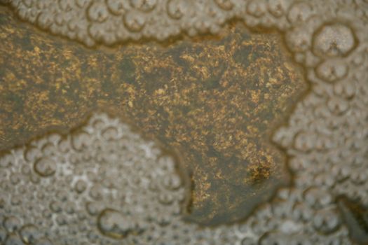 Air bubbles in Blue water