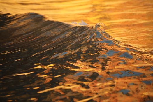 Water waves in the sea
