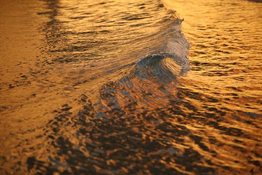 Water waves in the sea