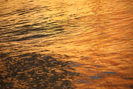 Water waves in the sea