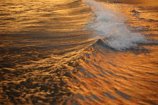 Water waves in the sea