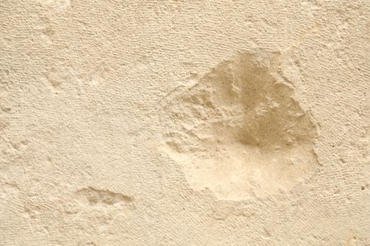 Raw stone Texture