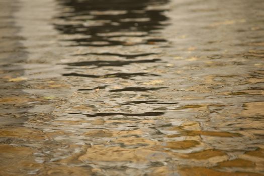 Water waves in the sea