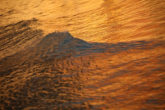Water waves in the sea