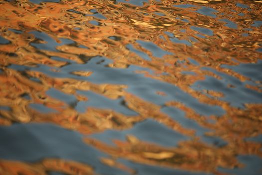 Water waves in the sea