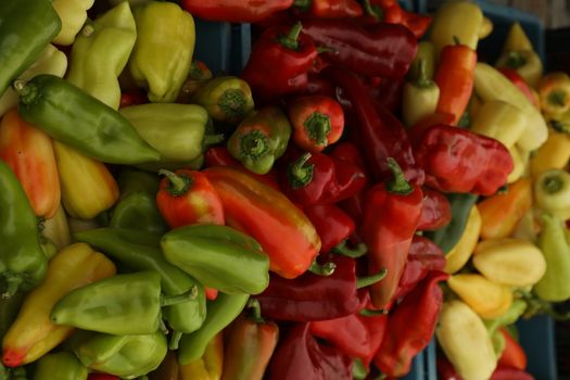 Vegetables close up