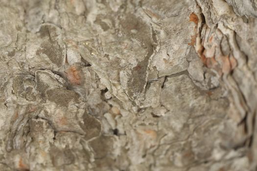 Raw stone Texture