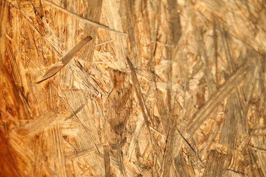 Abstract Wood Texture