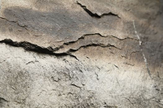 Raw stone Texture
