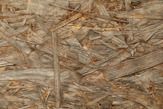 Abstract Wood Texture