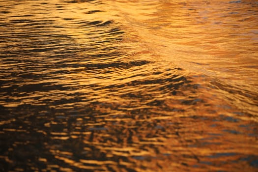 Water waves in the sea