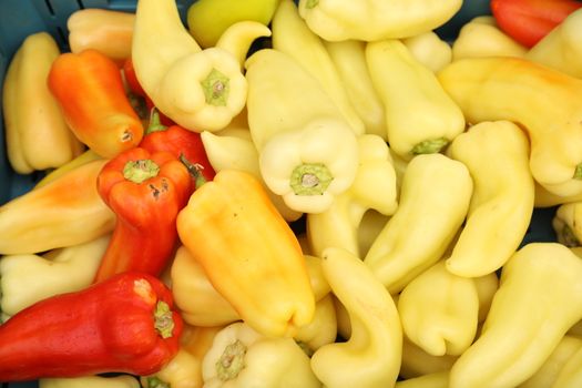 Vegetables close up