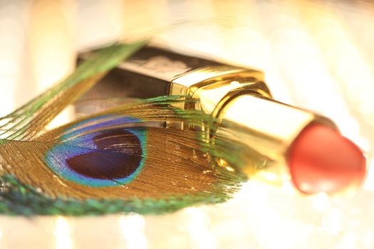 peacock feather closeup