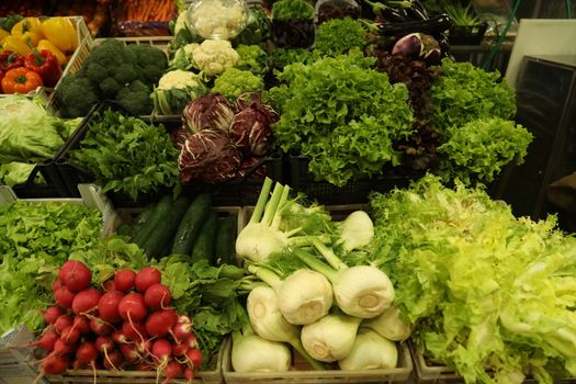 Vegetables close up
