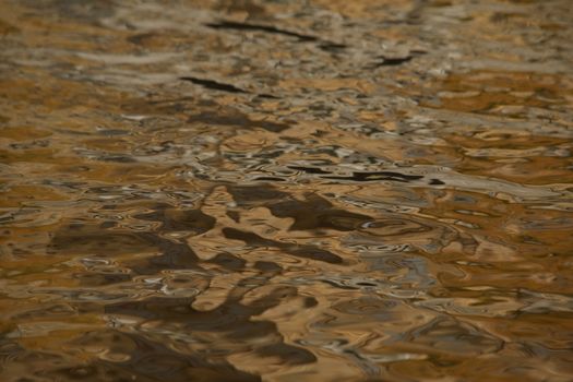 Water waves in the sea