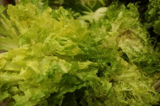 Vegetables close up