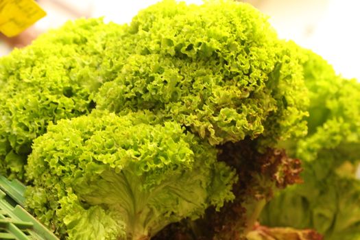 Vegetables close up