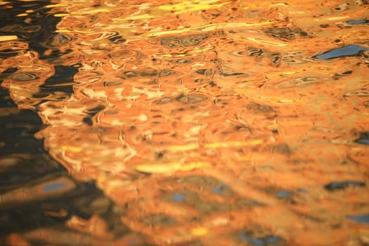 Water waves in the sea