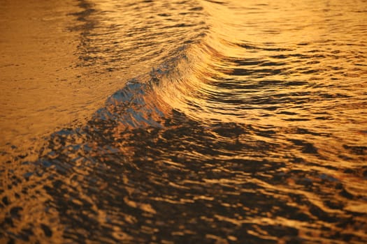 Water waves in the sea