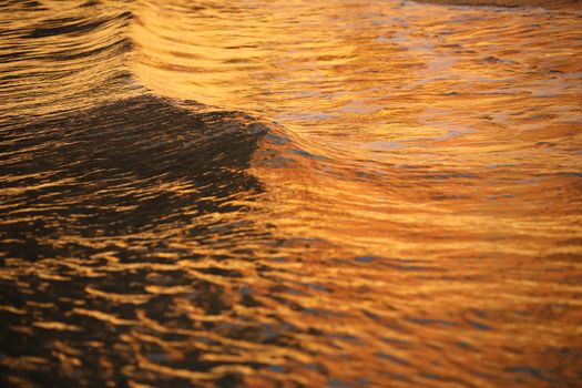 Water waves in the sea
