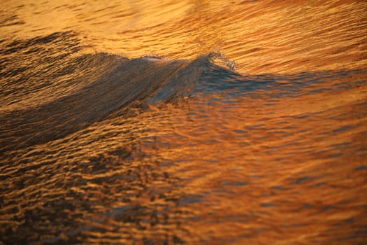 Water waves in the sea