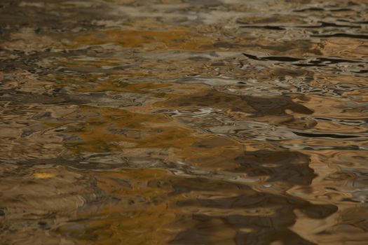 Water waves in the sea