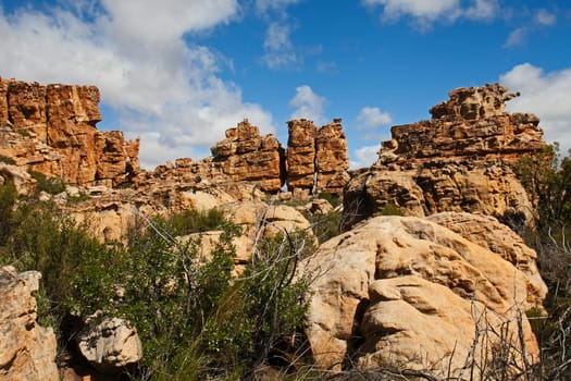 A scene of highly eroded sandstone formations in the Cederberg Wilderness Area, Western Cape. South Africa