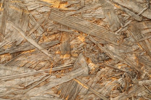Abstract Wood Texture
